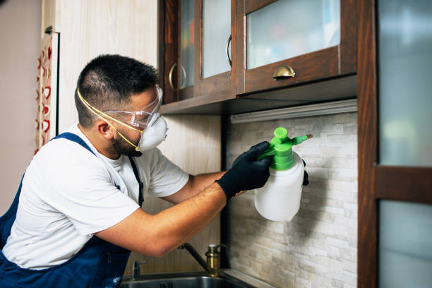 Flea Control Services in Oakhurst, NJ