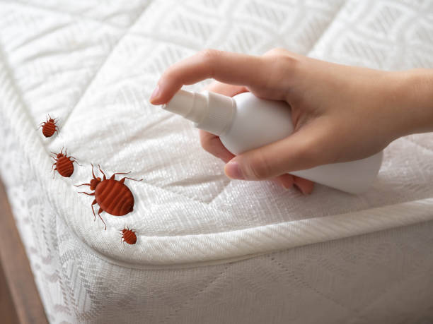 Best Flea Control Services  in Oakhurst, NJ