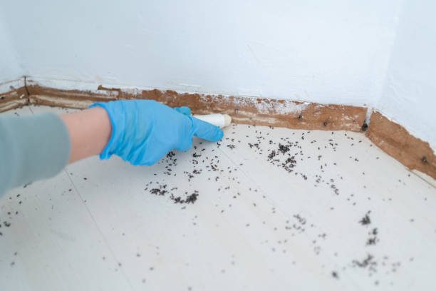 Reliable Oakhurst, NJ Pest Control Solutions