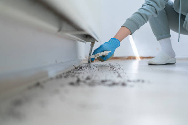 Best Flea Control Services  in Oakhurst, NJ